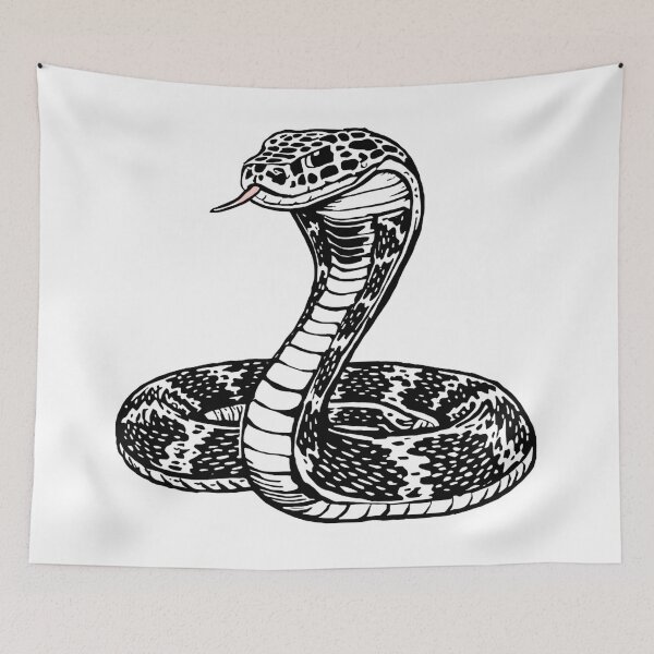 Item preview, Black and White Cobra Snake Illustration – Bold Wildlife Transparent Wall Art designed and sold by ShadeScapeArt.