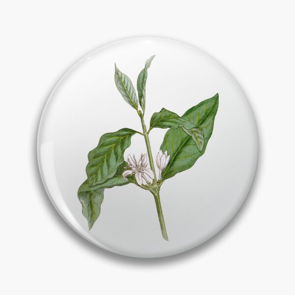 Item preview, Vintage Coffea Arabica Botanical Print - Restored Antique Coffee Plant designed and sold by Mystral Art Studio.