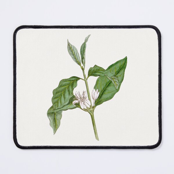 Item preview, Vintage Coffea Arabica Botanical Print - Restored Antique Coffee Plant designed and sold by Mystral Art Studio.