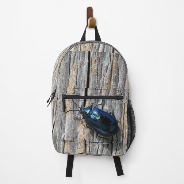 Item preview, The Black. Alder leaf beetle designed and sold by Jouko Lehto Photography.