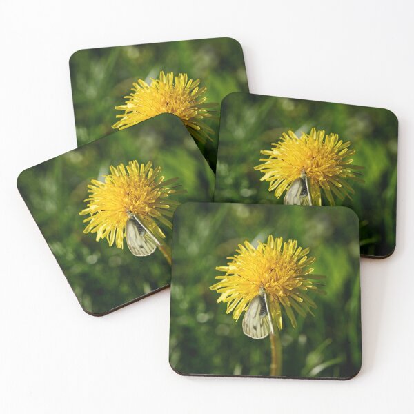 Item preview, Green-veined White on dandelion 2026 designed and sold by Jouko Lehto Photography.