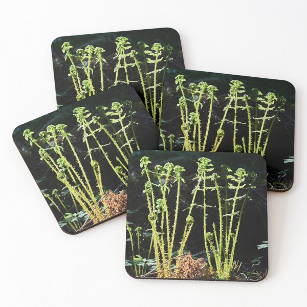 Item preview, Young Lady Fern designed and sold by Jouko Lehto Photography.
