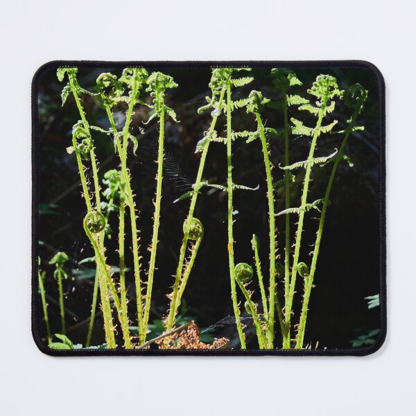 Item preview, Young Lady Fern designed and sold by Jouko Lehto Photography.