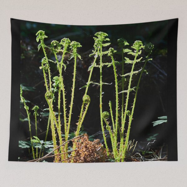 Item preview, Young Lady Fern designed and sold by Jouko Lehto Photography.