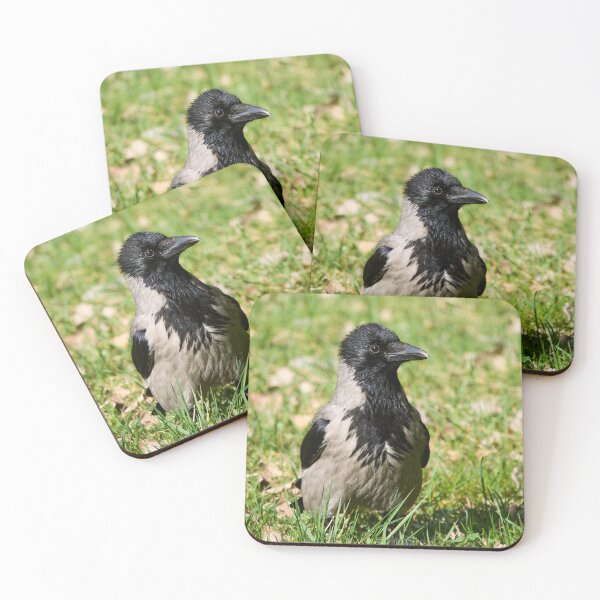 Item preview, Hello. Hooded crow Spring 2026 designed and sold by Jouko Lehto Photography.