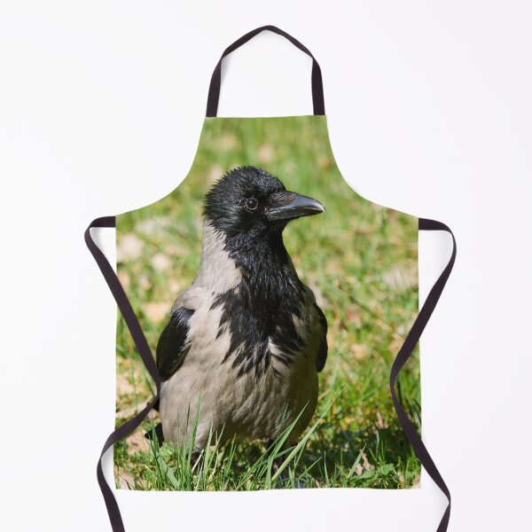 Item preview, Hello. Hooded crow Spring 2026 designed and sold by Jouko Lehto Photography.