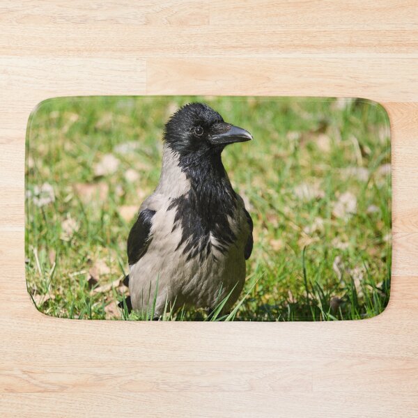 Item preview, Hello. Hooded crow Spring 2026 designed and sold by Jouko Lehto Photography.