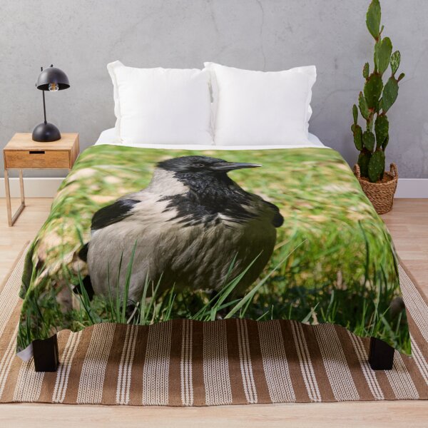 Item preview, Hello. Hooded crow Spring 2026 designed and sold by Jouko Lehto Photography.