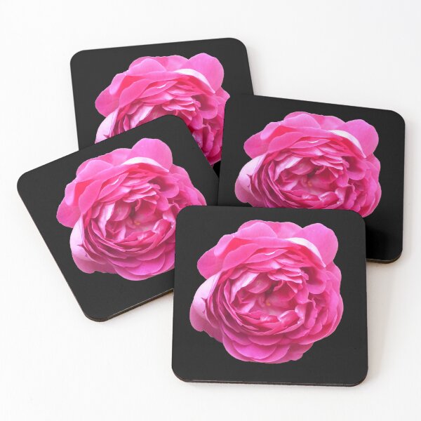 Item preview, Pink Rose Blooming designed and sold by Carrie Potter.
