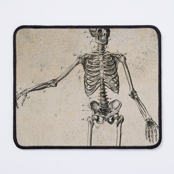 Item preview, Drawing of a Skeleton by George Augustus Sala designed and sold by GhostlyWorld.