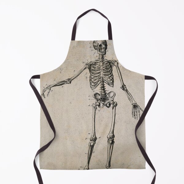 Item preview, Drawing of a Skeleton by George Augustus Sala designed and sold by GhostlyWorld.