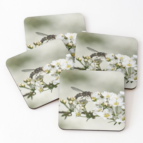 Item preview, All these flowers. Hoverfly designed and sold by Jouko Lehto Photography.