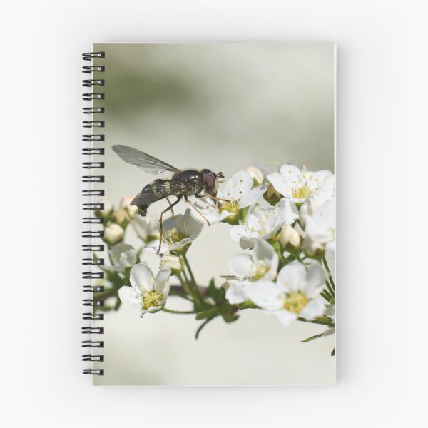 Item preview, All these flowers. Hoverfly designed and sold by Jouko Lehto Photography.