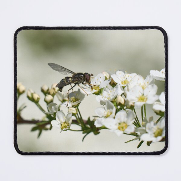 Item preview, All these flowers. Hoverfly designed and sold by Jouko Lehto Photography.