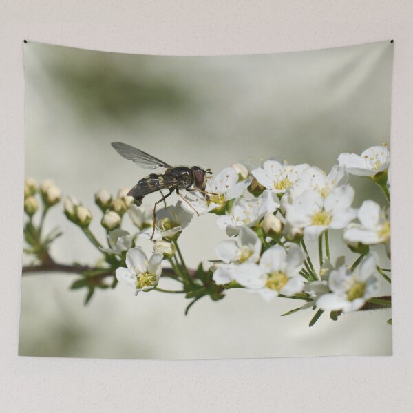 Item preview, All these flowers. Hoverfly designed and sold by Jouko Lehto Photography.