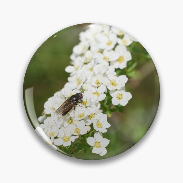 Item preview, All these flowers 2. Hoverfly designed and sold by Jouko Lehto Photography.