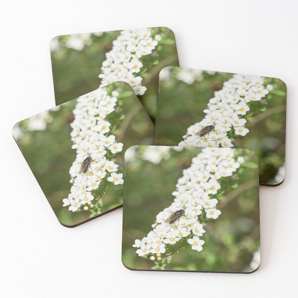 Item preview, All these flowers 2. Hoverfly designed and sold by Jouko Lehto Photography.