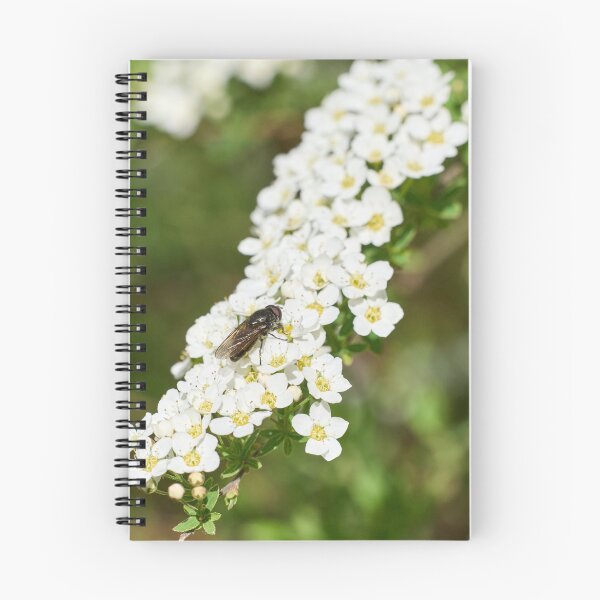 Artikelvorschau, Alle diese Blumen 2. Schwebfliege entworfen und verkauft von Jouko Lehto Photography.
