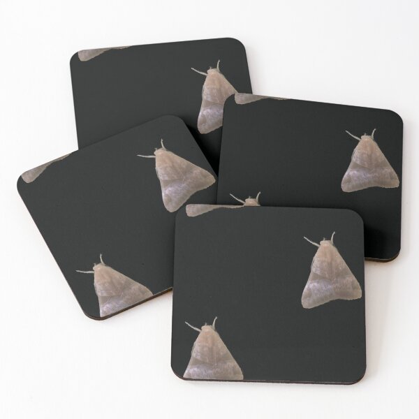 Item preview, Vintage Moth Nature Photography designed and sold by ArteAbstract.