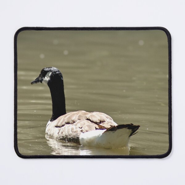 Item preview, Canada Goose Swimming designed and sold by WilesTheFox.