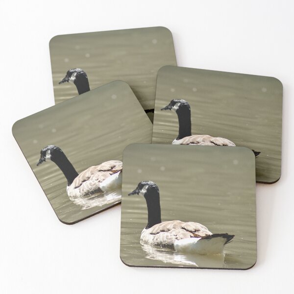 Item preview, Canada Goose Swimming designed and sold by WilesTheFox.