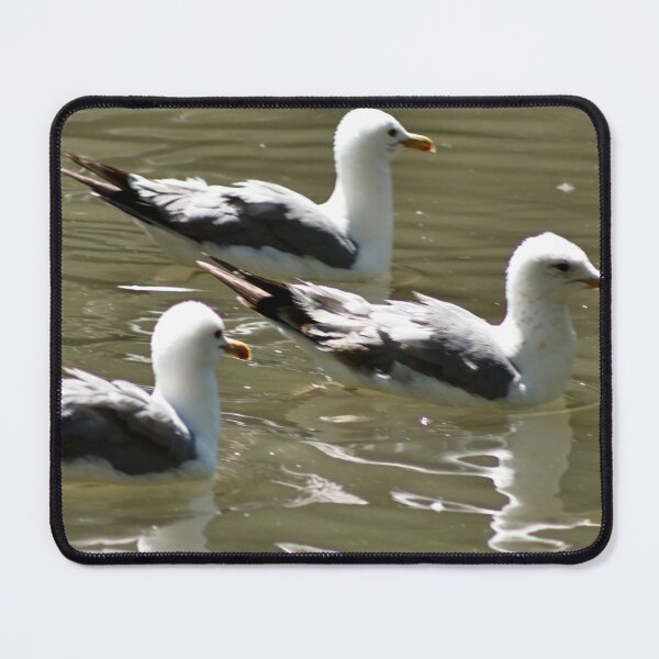 Item preview, Seagulls Swimming designed and sold by WilesNailsPower.