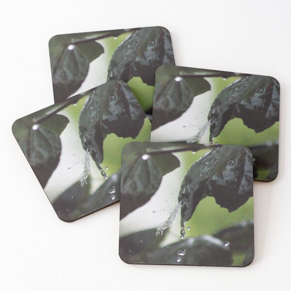 Item preview, splash of rain designed and sold by derekrich.