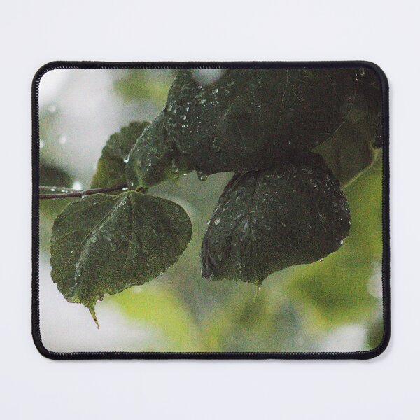 Item preview, rainy day shoot a designed and sold by derekrich.