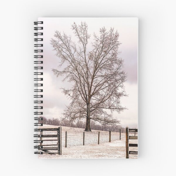 Item preview, Winter Tree Framing designed and sold by Jim Love.