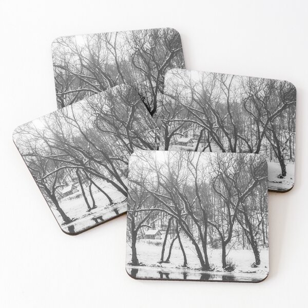 Item preview, Stark Winter Day BW designed and sold by Jim Love.