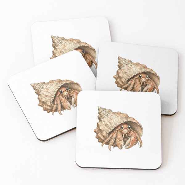 Item preview, Vintage Hermit Crab Sticker - Scientific Illustration of Seashell Dweller designed and sold by PND7777.