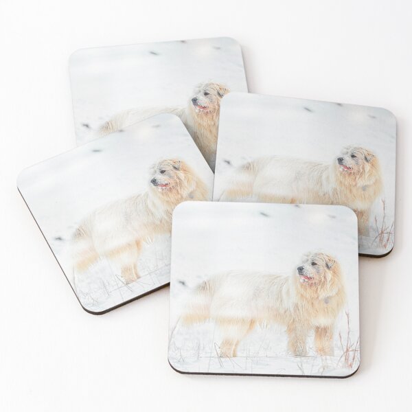Item preview, Snow Dog designed and sold by Jim Love.