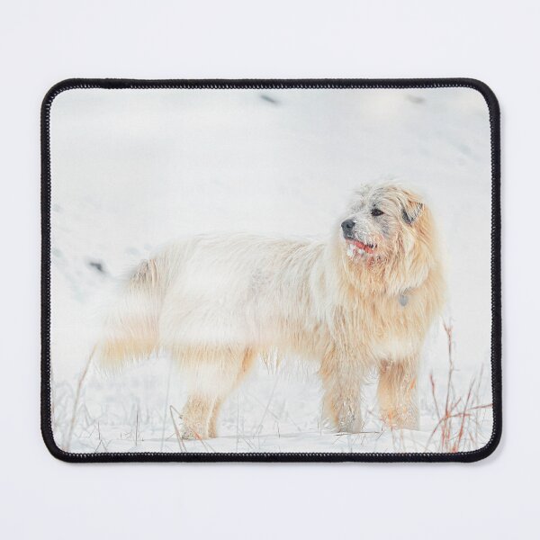 Item preview, Snow Dog designed and sold by Jim Love.