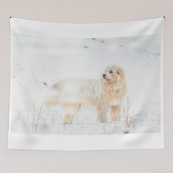 Item preview, Snow Dog designed and sold by Jim Love.