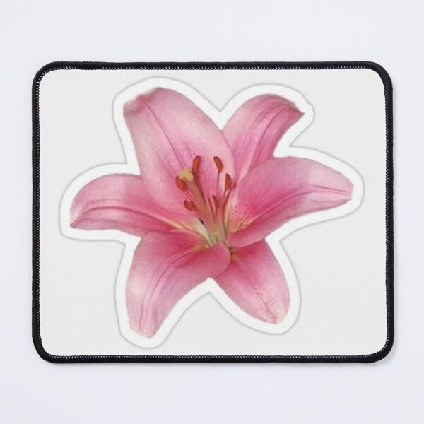 Item preview, Pink Lily Flower Aesthetic Sticker designed and sold by Maplyx.