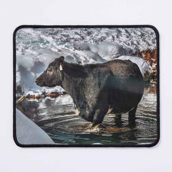 Item preview, Chilly Dip designed and sold by Jim Love.
