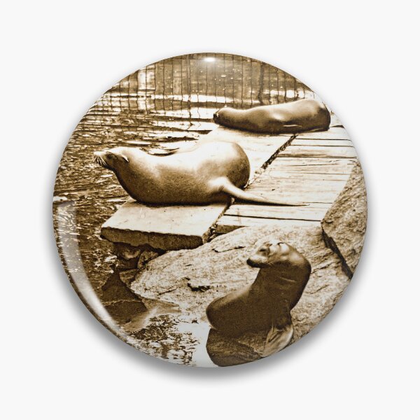 Item preview, Philadelphia, Pennsylvania, October 31, 1900, Sea Lion Exhibit, Philadelphia Zoo designed and sold by AMacGPhilly.