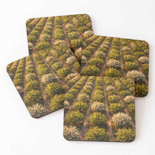 Item preview, Golden Blossom Orchard – Spring Nature designed and sold by Yomere.