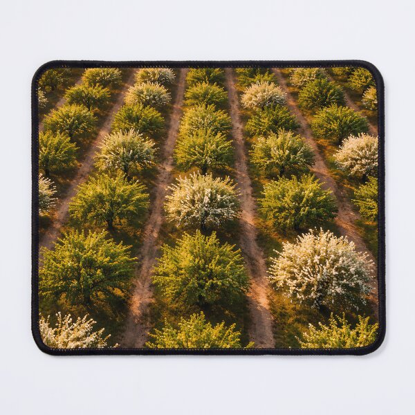 Item preview, Golden Blossom Orchard – Spring Nature designed and sold by Yomere.