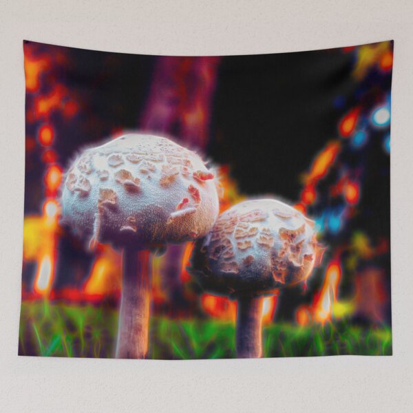 Aperçu de l'œuvre Champignons lumineux créée et vendue par Creative by Nature.