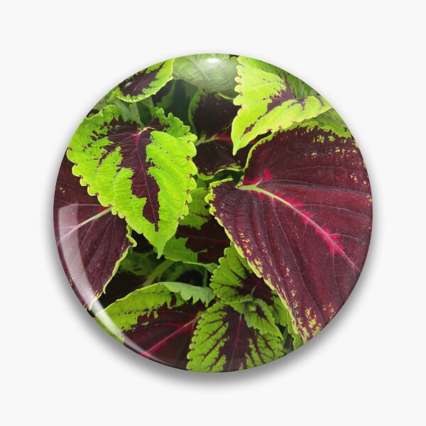 Item preview, Beautiful Foliage of Vivid Greens and Burgundy Reds designed and sold by SI-GER.