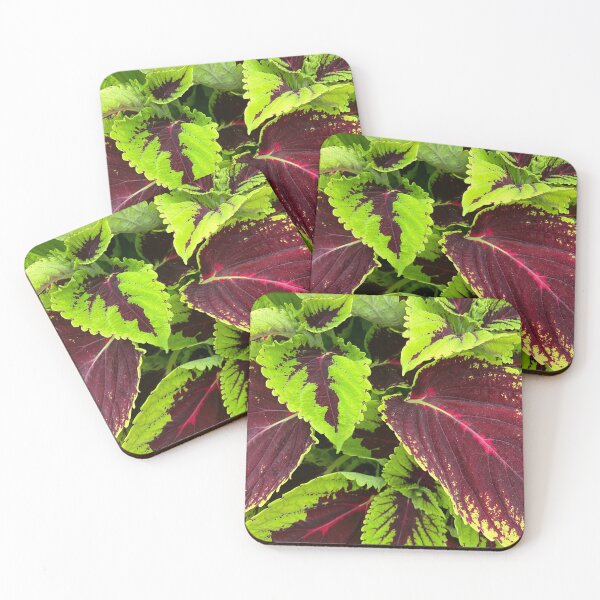 Item preview, Beautiful Foliage of Vivid Greens and Burgundy Reds designed and sold by SI-GER.
