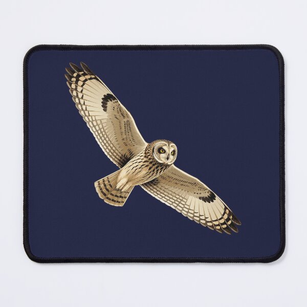 Item preview, Short Eared Owl designed and sold by jamesgerardking.