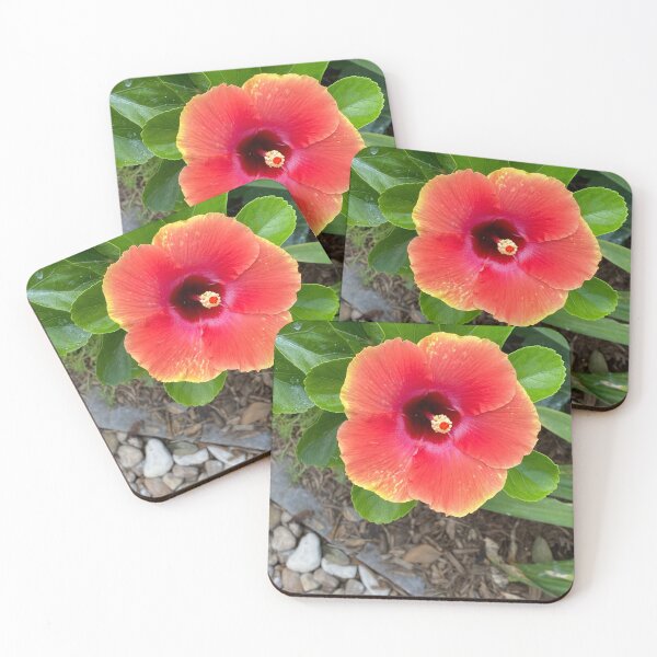 Item preview, Hibiscus flower designed and sold by Dunnette Imaging.