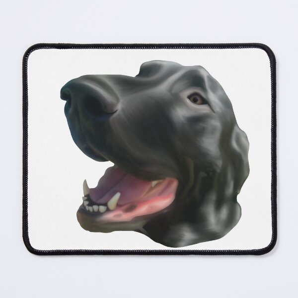 Item preview, Bucky designed and sold by Sage’s Studio.