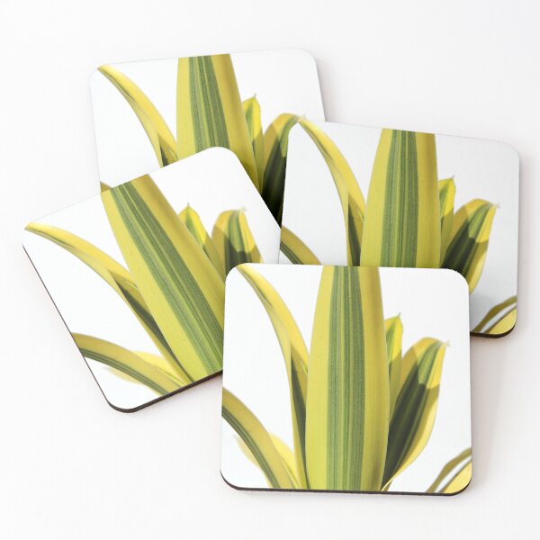 Item preview, Vibrant Variegated Dracaena Plant Leaf Texture designed and sold by 27Tammy27.