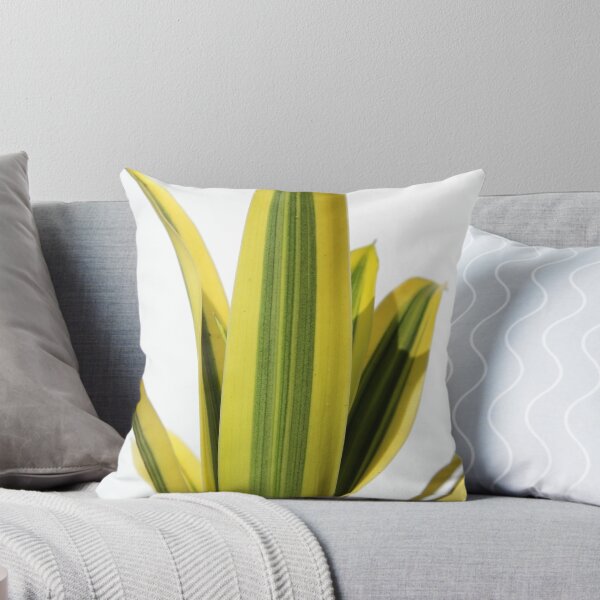 Item preview, Vibrant Variegated Dracaena Plant Leaf Texture designed and sold by 27Tammy27.