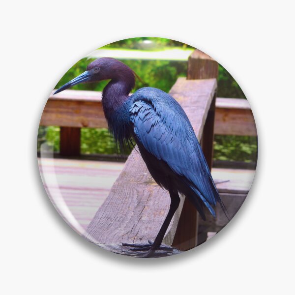 Item preview, Great Blue Heron designed and sold by Creative by Nature.