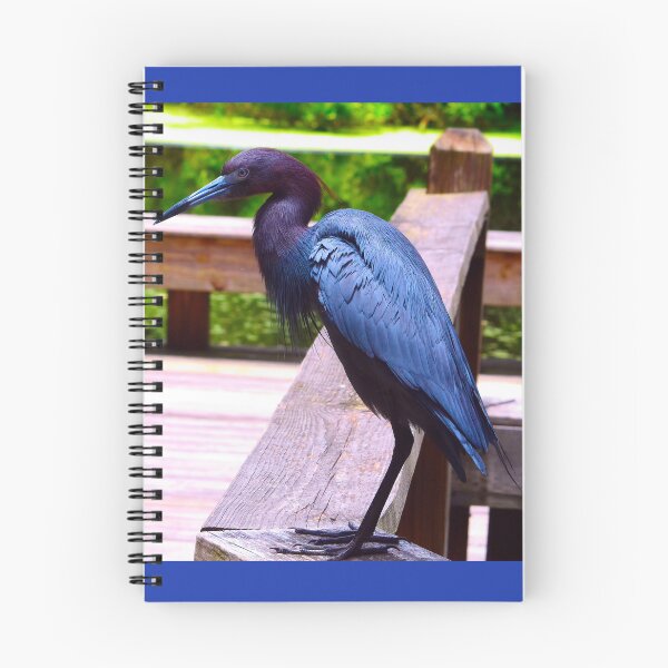 Item preview, Great Blue Heron designed and sold by Creative by Nature.