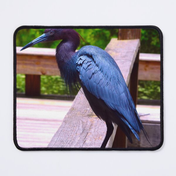 Item preview, Great Blue Heron designed and sold by Creative by Nature.